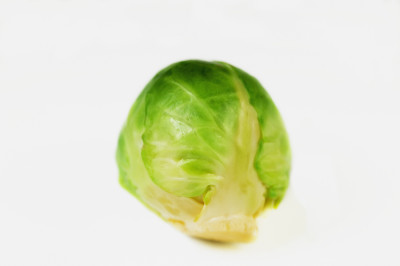 Define Sprout