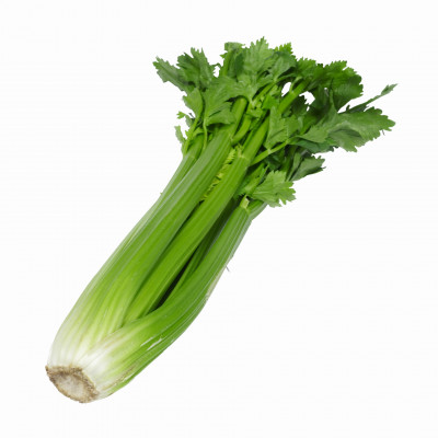 define celery